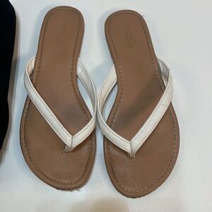 American‎ eagle, Charlotte Russe, Roxy women’s sandal bundle